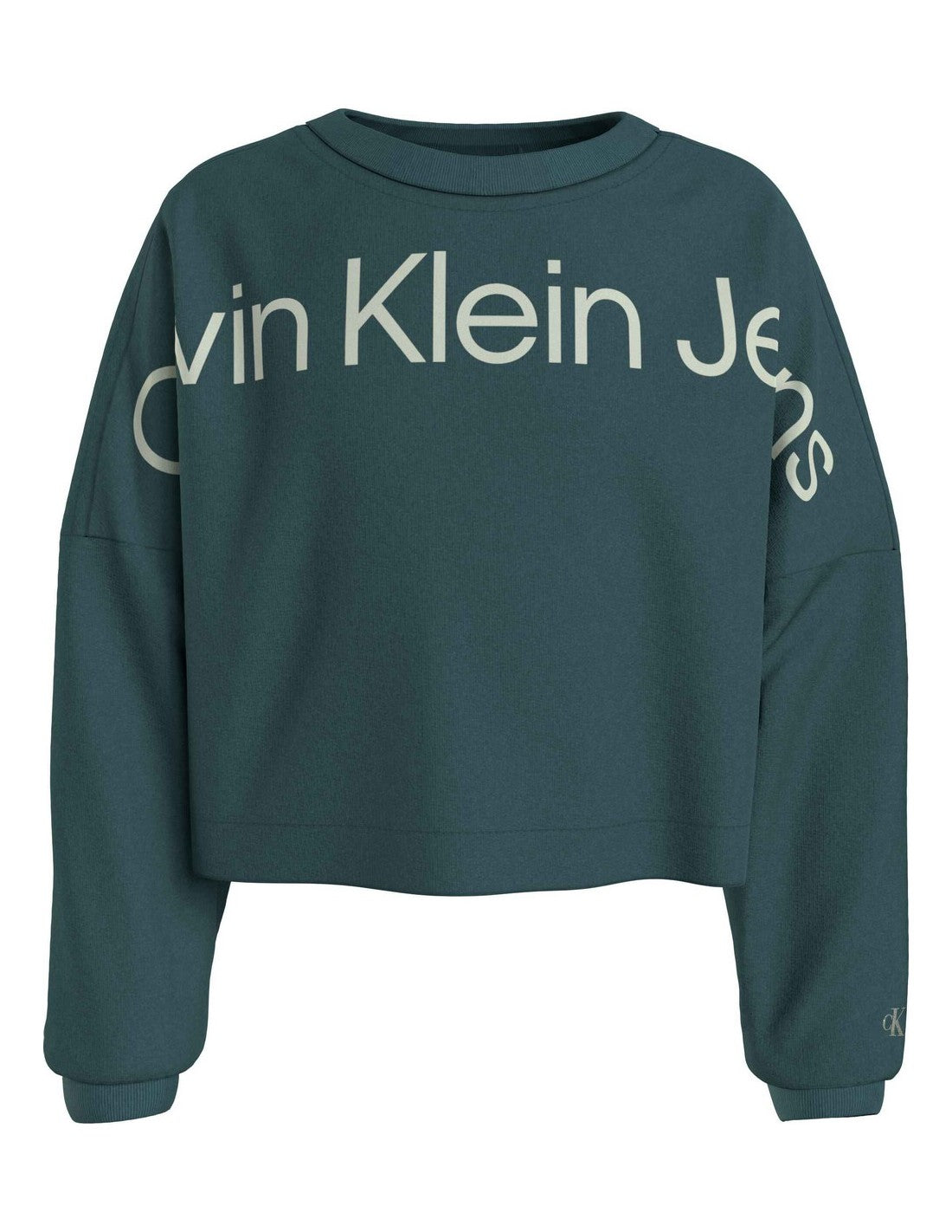 Hero Logo Cn Sweatshirt Atlantic Deep / 10