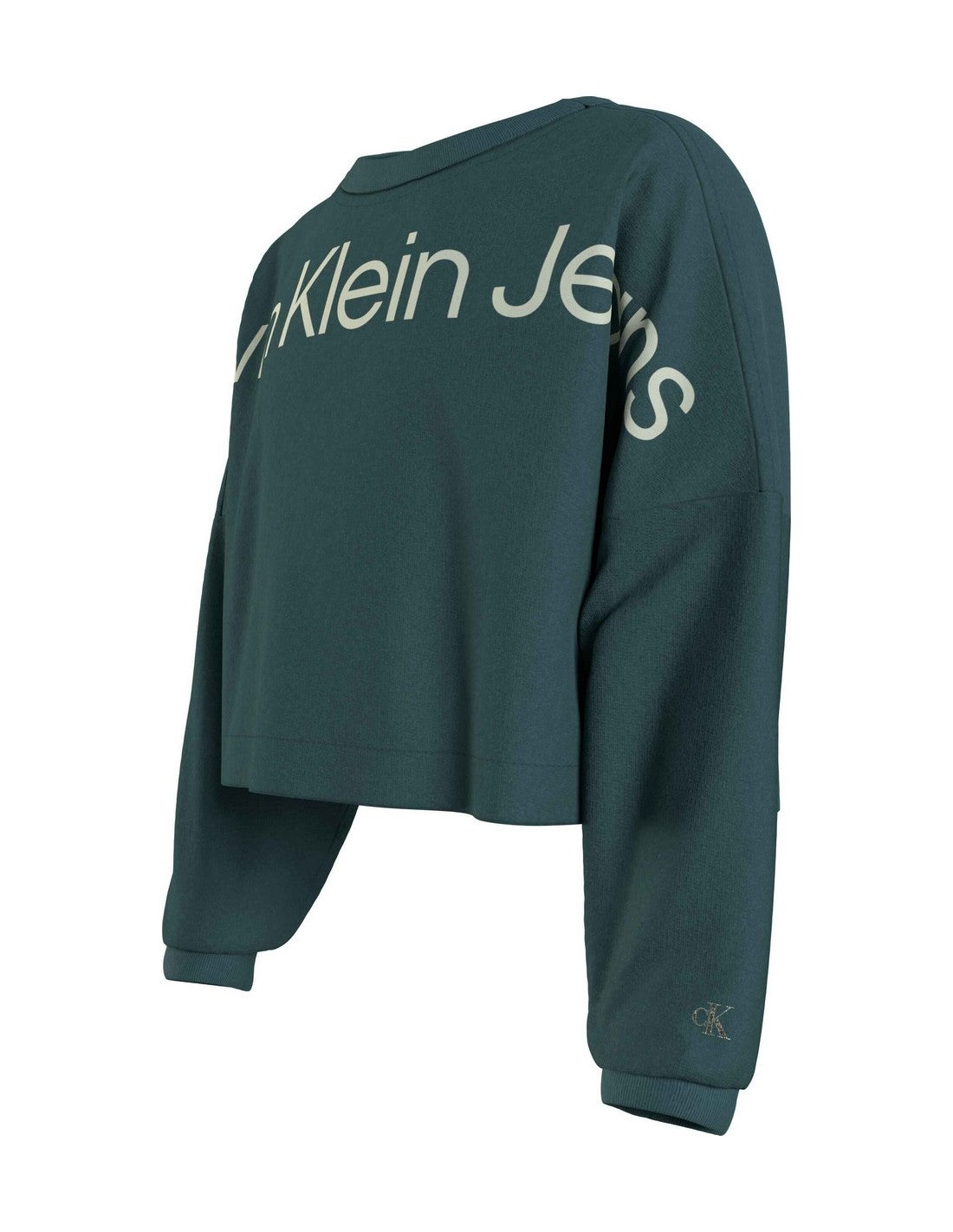 Hero Logo Cn Sweatshirt Atlantic Deep / 10