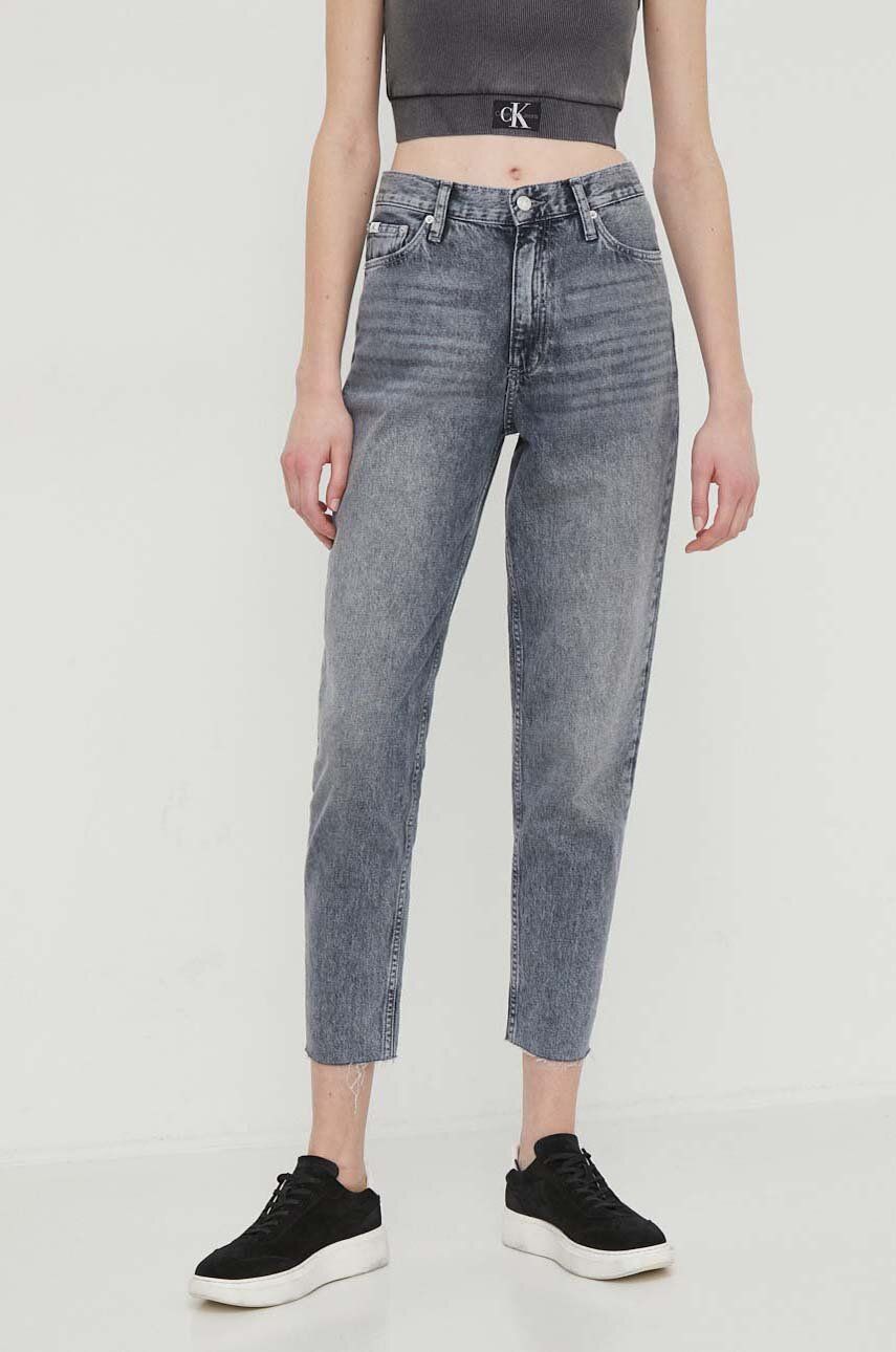 Mom Jean Denim Grey / NI30