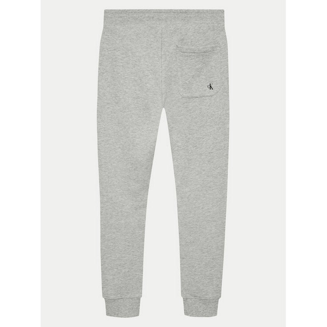 Inst. Logo Regular Jogger Light Grey Heather / 10