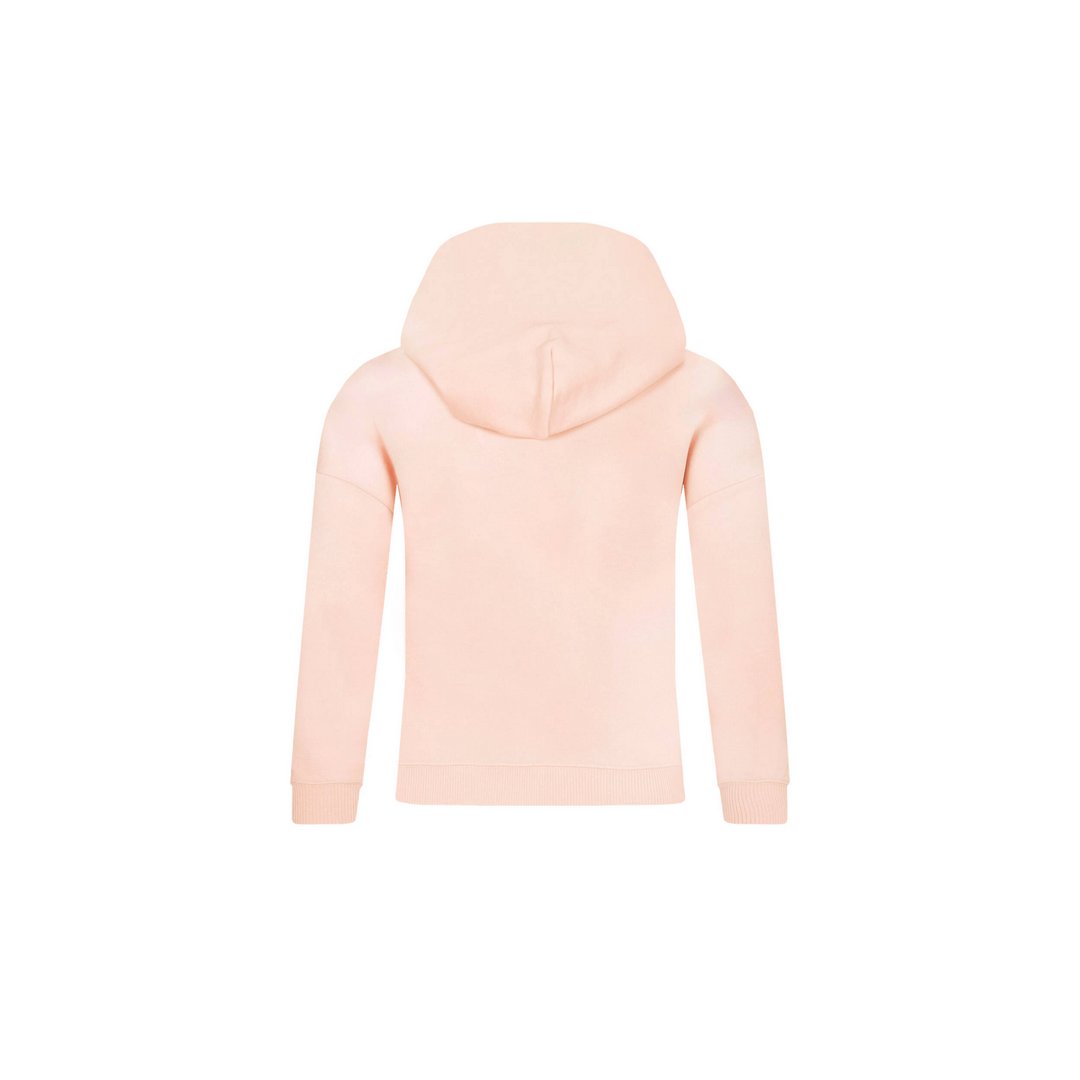 Gradient Flock Logo/ Tf6/ 16 Sepia Pink / 6