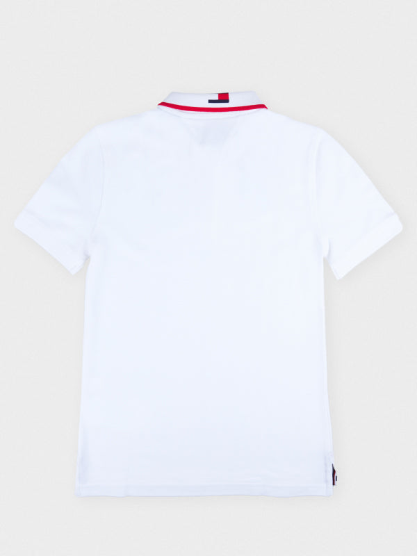 Intarsia Collar Polo S/S White 658-170 / 10