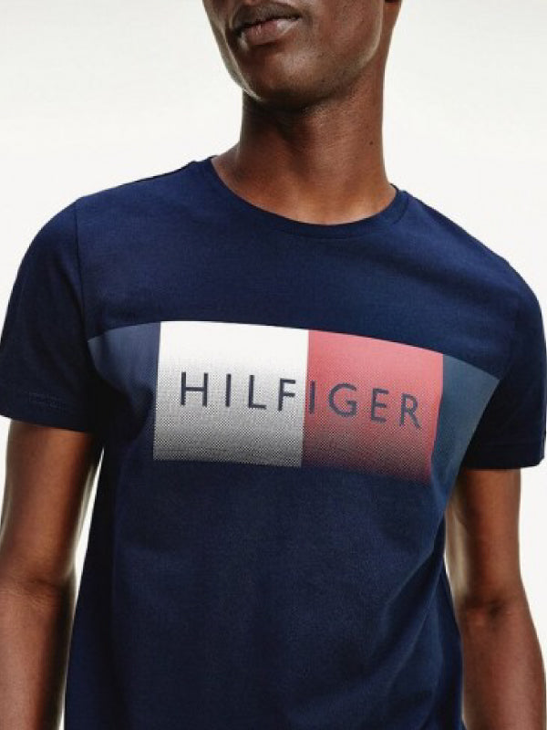 Th Cool Hilfiger Fade Tee DESERT SKY / L